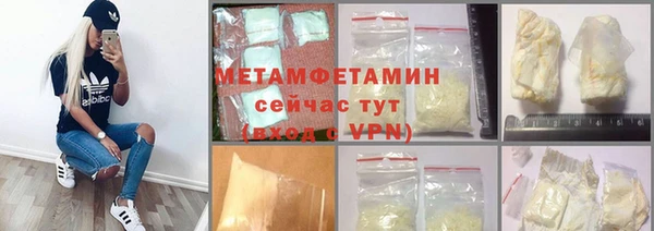 прущие грибы Надым