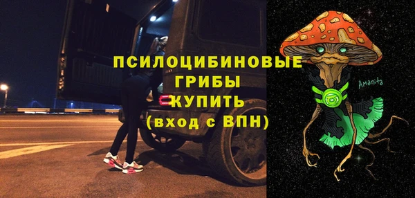 прущие грибы Надым