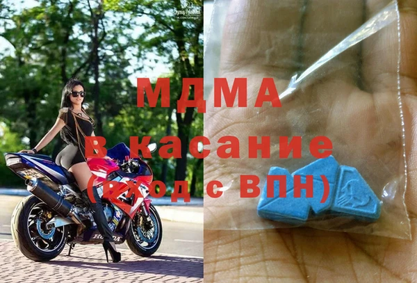 прущие грибы Надым